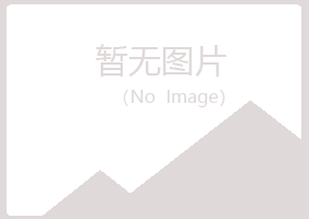 东山县夏青培训有限公司